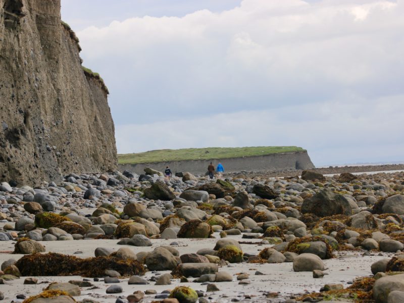 sea foraging with Brian Gannon in Ireland