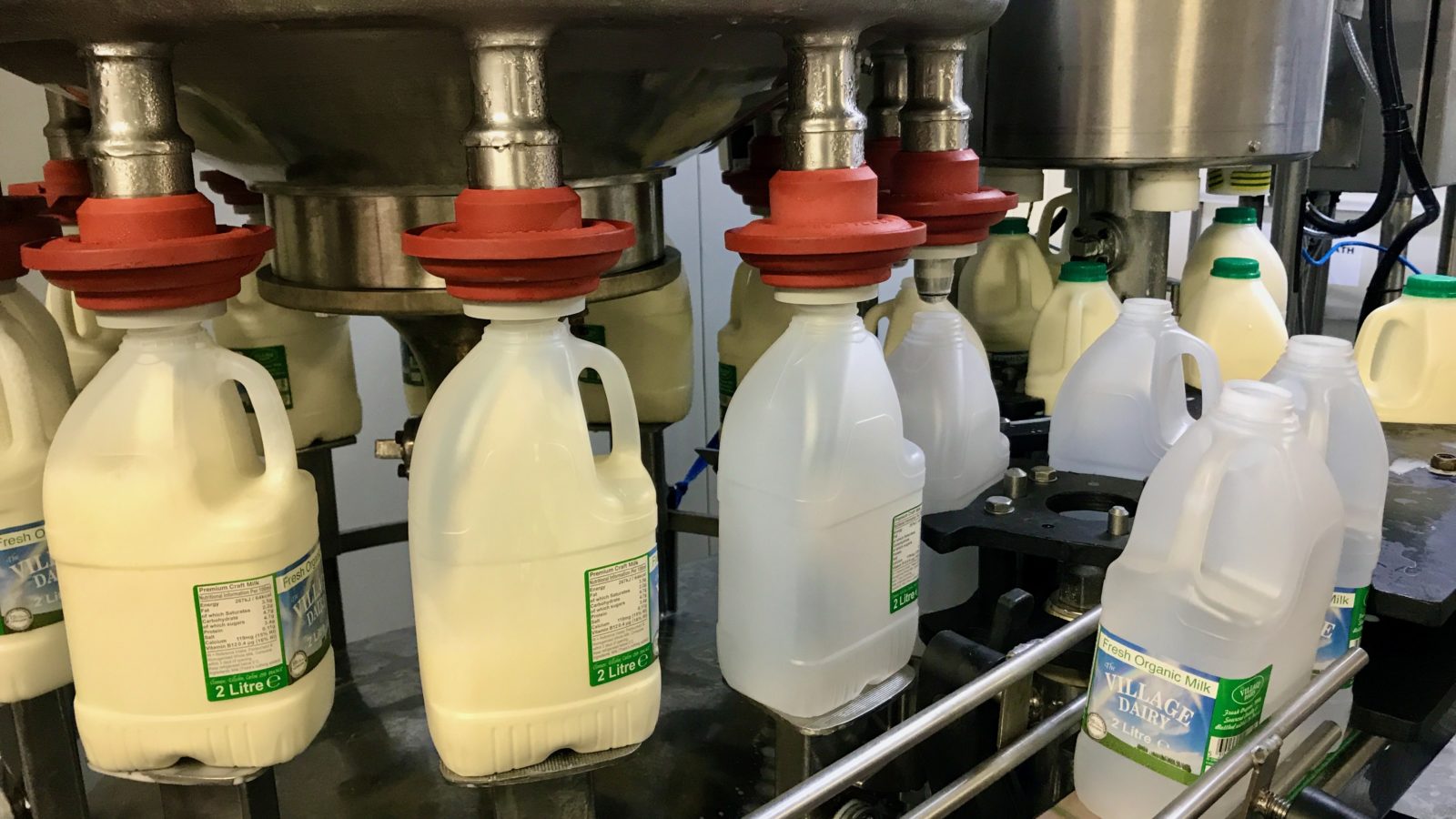 Village Dairy Milk being bottled