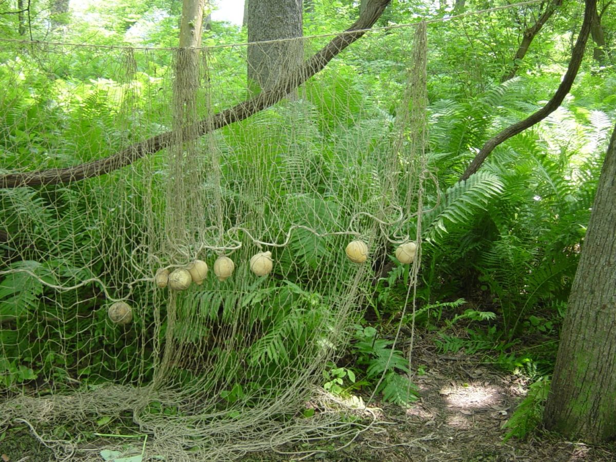 Nets hanging from tree
