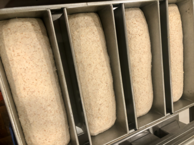 Sandwich Bread in pans