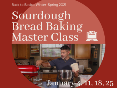 Back to Basics Sourdough Bread Cover