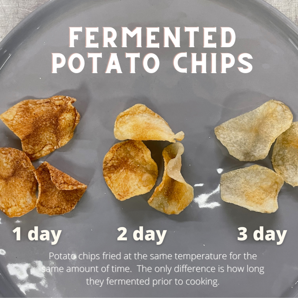 infographic on fermented chips