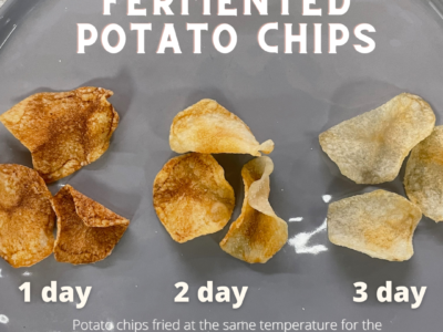 Infographic fermented potato chips