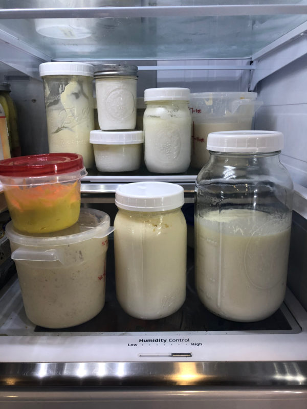 fridge full of ferments