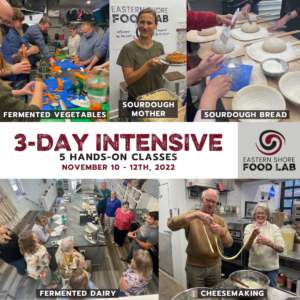 3 Day Intensive