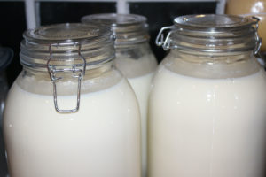 Yogurt glass containers fermenting