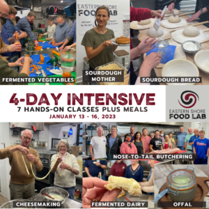 4-day Intensive January