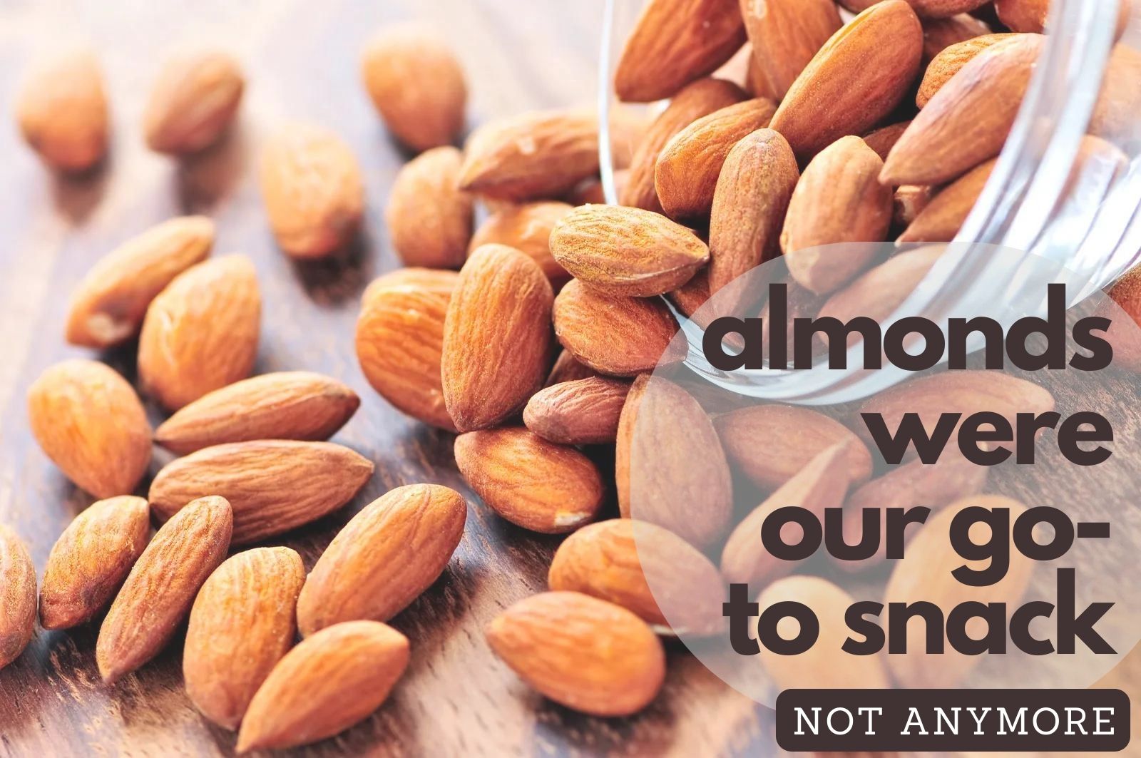 why-we-don-t-use-almond-flour-and-never-will-dr-bill-schindler-s