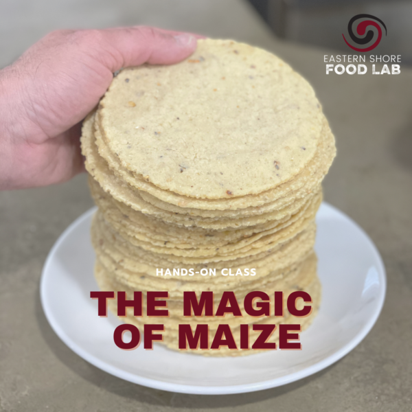 Magic of Maize