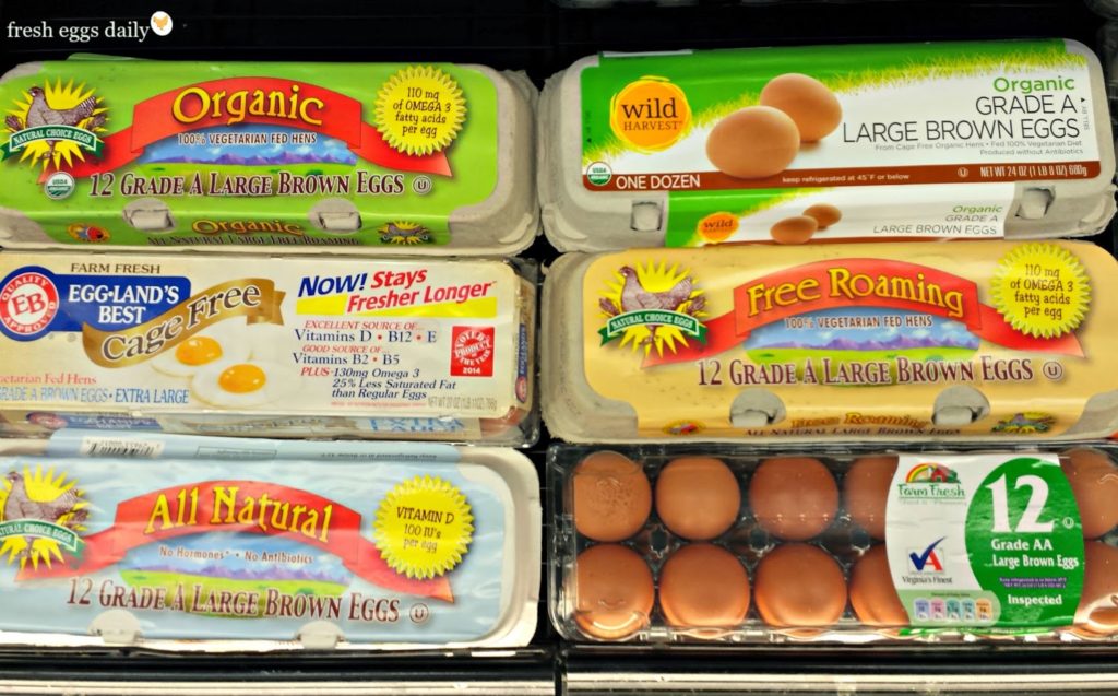 egg cartons in grocery store