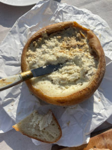 Casu Marzu cheese
