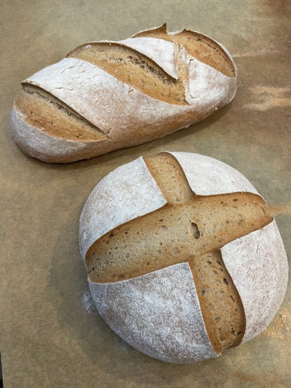 GF SD bread